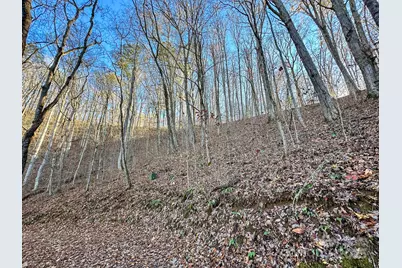 383 Blue Mist Mountain Road, Whittier, NC 28789 - Photo 38