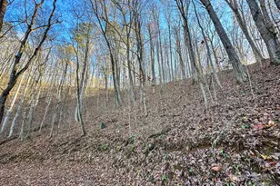 383 Blue Mist Mountain Rd, Whittier, NC 28789 - Photo 38