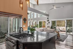 237 N Mountain Ln, Mill Spring, NC 28756 - Photo 14