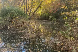 2818 Rockford Rd, Shelby, NC 28152 - Photo 34