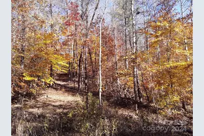 2200 Walnut Creek Road, Marshall, NC 28753 - Photo 24