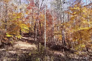 2200 Walnut Creek Rd, Marshall, NC 28753 - Photo 24