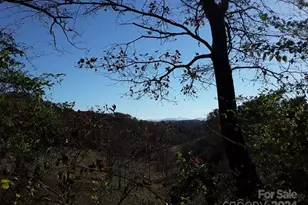 2200 Walnut Creek Rd, Marshall, NC 28753 - Photo 26