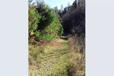 2200 Walnut Creek Road, Marshall, NC 28753 - Photo 20