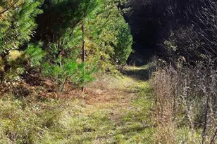 2200 Walnut Creek Rd, Marshall, NC 28753 - Photo 20