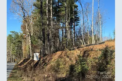 3200 Greenville Highway, Flat Rock, NC 28731 - Photo 4