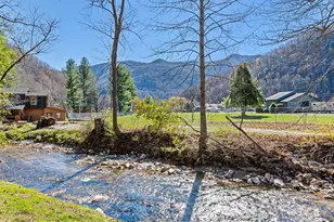 40 Meadows Ln, Maggie Valley, NC 28751 - Photo 6