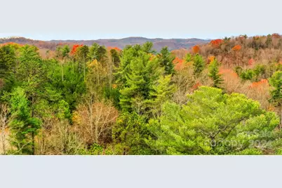 0 Wheel Team Trail S #49, McGrady, NC 28649 - Photo 10