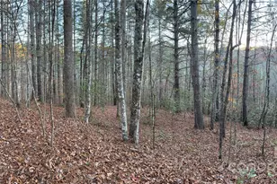 0 Sky Ridge Dr, Bryson City, NC 28713 - Photo 14