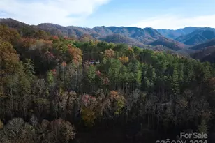 0 Sky Ridge Dr, Bryson City, NC 28713 - Photo 4