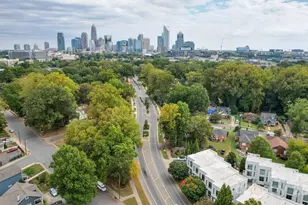 322 Viburnum Way Ct, Charlotte, NC 28208 - Photo 38