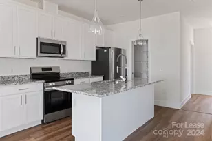 223 Cherrywood Wy, Asheville, NC 28806 - Photo 6