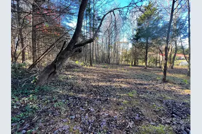 4541 Hall Dairy Road, Claremont, NC 28610 - Photo 6