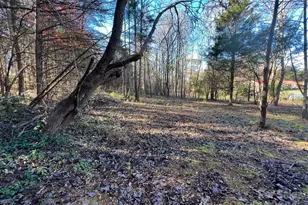 4541 Hall Dairy Rd, Claremont, NC 28610 - Photo 6