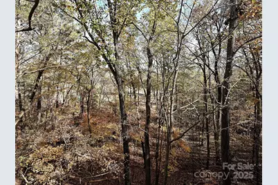 25040 Timberlake Drive, Tega Cay, SC 29708 - Photo 20