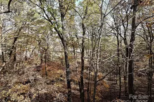 25040 Timberlake Dr, Tega Cay, SC 29708 - Photo 20