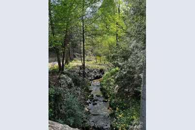 73 Wisdom Cove Road, Flat Rock, NC 28731 - Photo 38