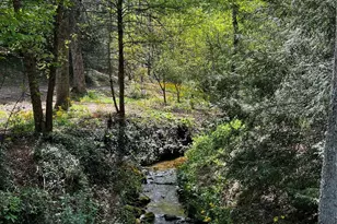 73 Wisdom Cove Rd, Flat Rock, NC 28731 - Photo 38