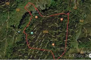 2033 Lower Paw Paw Rd, Marshall, NC 28753 - Photo 32