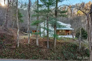 2033 Lower Paw Paw Rd, Marshall, NC 28753 - Photo 4
