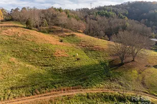 120 & 72 Fordbrook Rd, Asheville, NC 28806 - Photo 2