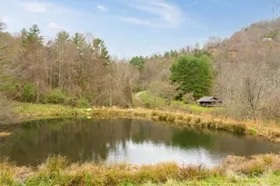 120 & 72 Fordbrook Rd, Asheville, NC 28806 - Photo 4