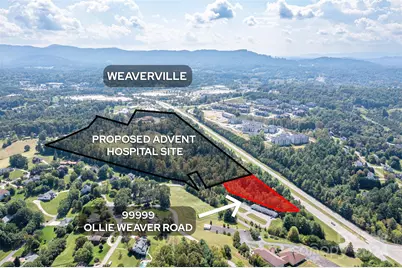 99999 Ollie Weaver Road, Weaverville, NC 28787 - Photo 2