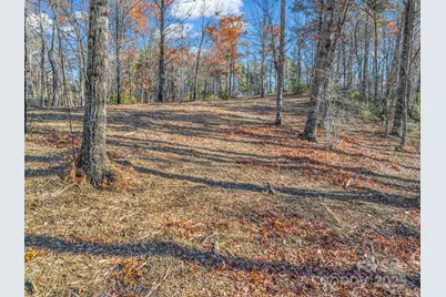 Lot 30 Deep Gap Farm Road E, Mill Spring, NC 28756 - Photo 8