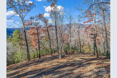 Lot 30 Deep Gap Farm Road E, Mill Spring, NC 28756 - Photo 14