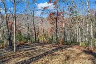 Lot 30 Deep Gap Farm Road E, Mill Spring, NC 28756 - Photo 16