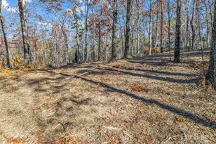Lot 30 Deep Gap Farm Road E, Mill Spring, NC 28756 - Photo 12