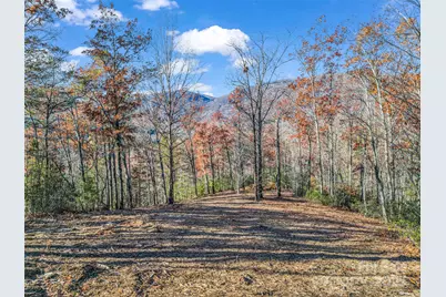 Lot 30 Deep Gap Farm Road E, Mill Spring, NC 28756 - Photo 18
