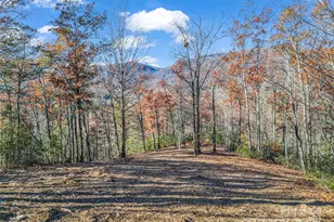 Lot 30 Deep Gap Farm Road E, Mill Spring, NC 28756 - Photo 18