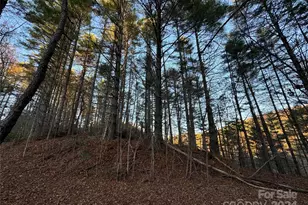 00 Sky Ridge Dr, Bryson City, NC 28713 - Photo 4