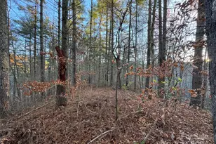 00 Sky Ridge Dr, Bryson City, NC 28713 - Photo 2