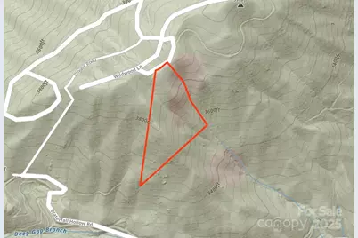 9999 Conleys Creek, Whittier, NC 28789 - Photo 12