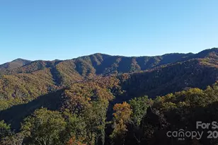 9999 Conleys Creek, Whittier, NC 28789 - Photo 14