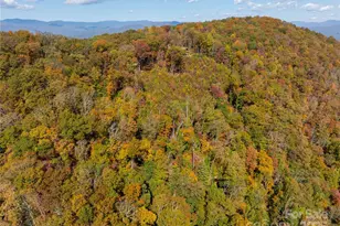 9999 Conleys Creek, Whittier, NC 28789 - Photo 6