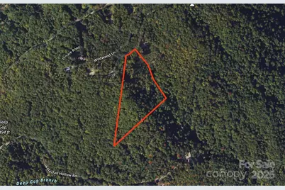 9999 Conleys Creek, Whittier, NC 28789 - Photo 16