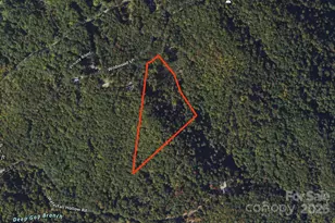 9999 Conleys Creek, Whittier, NC 28789 - Photo 16