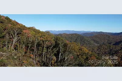 9999 Conleys Creek, Whittier, NC 28789 - Photo 10