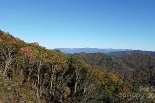 9999 Conleys Creek, Whittier, NC 28789 - Photo 10