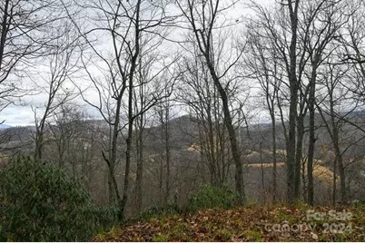 19 Flowing Hills Drive #19, 20, Clyde, NC 28721 - Photo 2