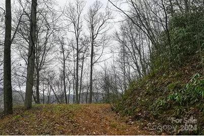 19 Flowing Hills Drive #19, 20, Clyde, NC 28721 - Photo 12