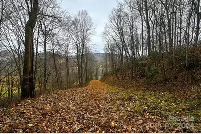 19 Flowing Hills Drive #19, 20, Clyde, NC 28721 - Photo 4