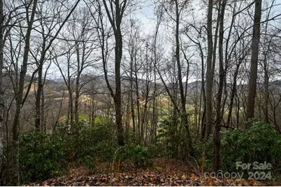 19 Flowing Hills Drive #19, 20, Clyde, NC 28721 - Photo 10