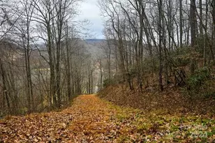 19 Flowing Hills Dr, Clyde, NC 28721 - Photo 1