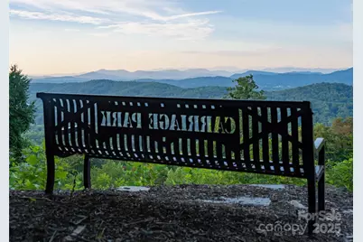 99999 Bay Laurel Lane, Hendersonville, NC 28791 - Photo 34