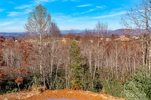 99999 Bay Laurel Ln, Hendersonville, NC 28791 - Photo 10