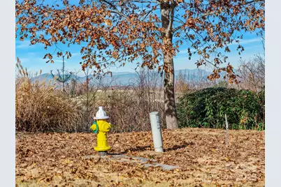 99999 Bay Laurel Lane, Hendersonville, NC 28791 - Photo 8